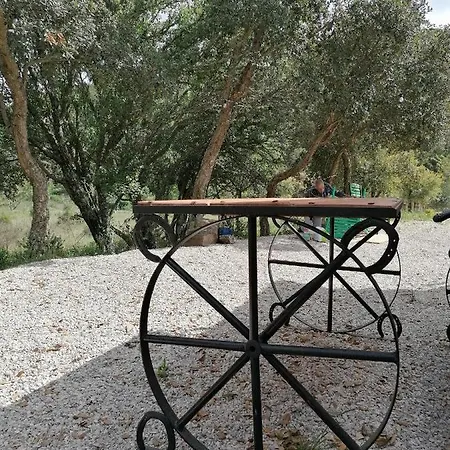 Holiday home Glamping Circus Wagon With Garden Talurdo Retreat *